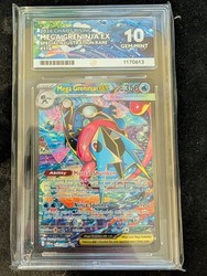 Mega Greninja EX 116/086 Chaos Rising SIR