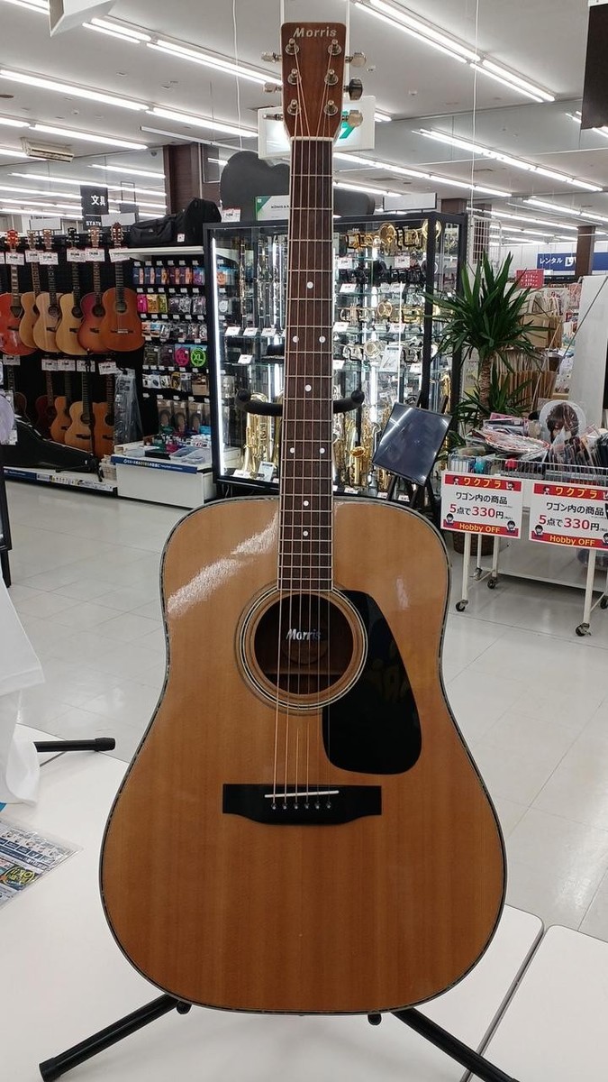 MORRIS Acoustic Guitar MD-515 | eBay