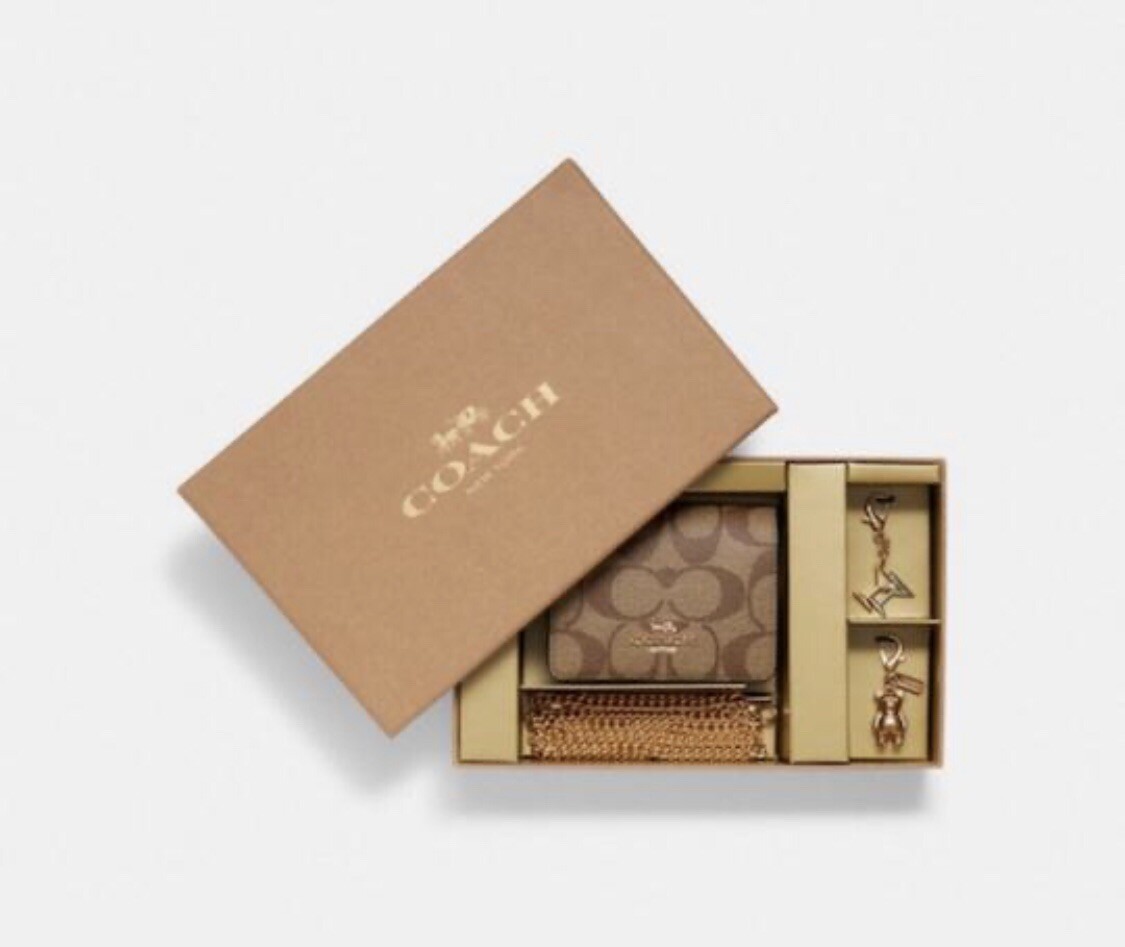 Coach Mini Wallet On A Chain with Charms in Signature Canvas