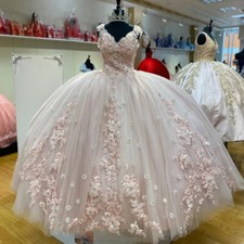 Light Pink Princess Quinceanera Dresses Applique Sequins Flowers Sweet 16 Gown