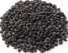 BU GU ZHI - 补骨脂 - Psoraliae Fruit - Premium Quality Herb - by NY Spice