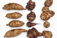 12 MIXED JERUSALEM ARTICHOKE TUBER SUNROOT EARTH APPLE STAMPEDE FUSEAU GERRARD