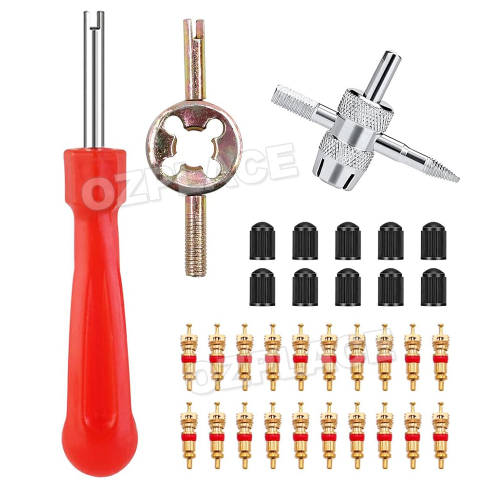 33pcs Car Tyre Valve Repair Tool Sets With 4in1 Valve Stem Removal