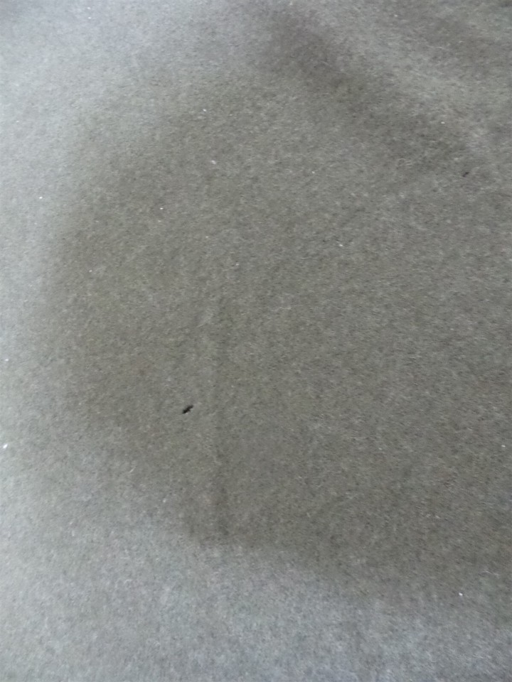 VINTAGE 1957 ARMY USMC NAVY USAF BLANKET BED WOOL OD SHADE 108 GREEN