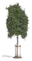 Busch 10625 - 0 Junge Birke Mit BaumstüTzen - Neu