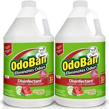 OdoBan 1 Gal. Cucumber Melon Disinfectant, Laundry and Air Freshener 2 Pack 