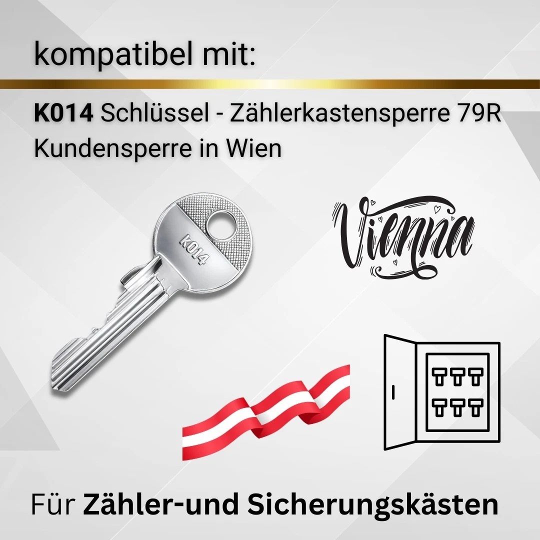 K014 79R Llave Viena Caja contador de energía Llave universal Metal