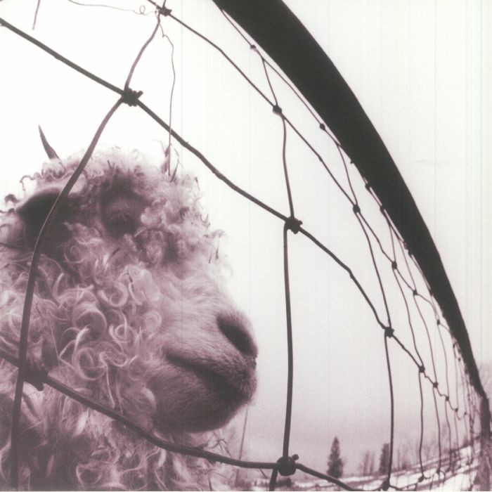 Pearl Jam Vs. (30Th Anniversary Edition) Transparent Vinyl LP New And Sealed - Image 3