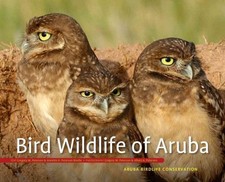 Bird Wildlife of Aruba, Hardcover by Peterson, Greg M.; Peterson-Bredie, Anne...