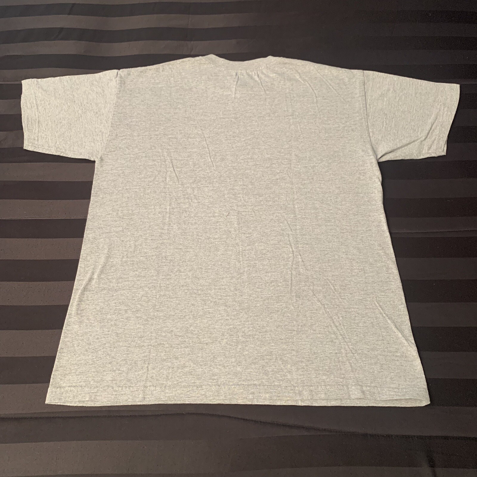 VTG Tony HAWK Skateboarding Apparel Systems T Shirt Skateboard Size L Large