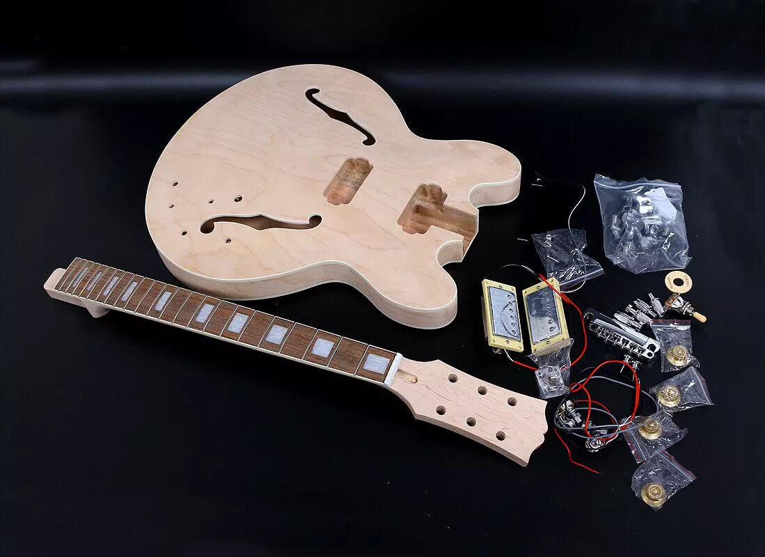 Ebay guitar kits online