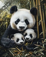 Panda Family Resting in Bamboo Grove 8x10 Matte Print