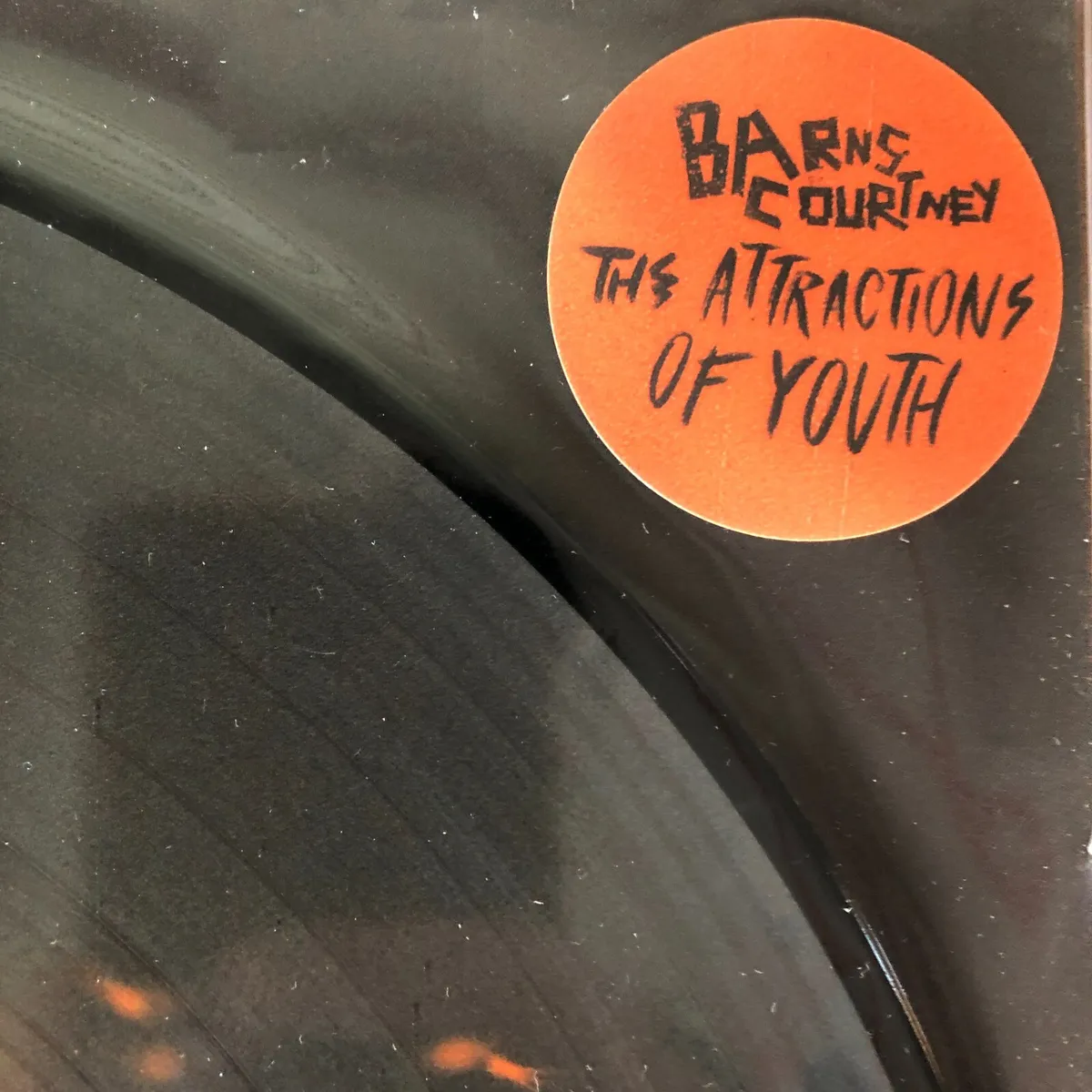 følelse Risikabel diagram Ltd SEALED Picture Disc Vinyl] Barns Courtney ‎– The Attractions Youth /  Hozier | eBay