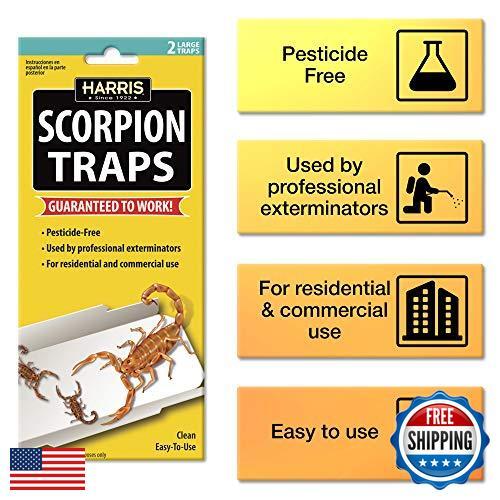 Harris Scorpion Glue Traps (2-Pack) - Picture 2 of 4