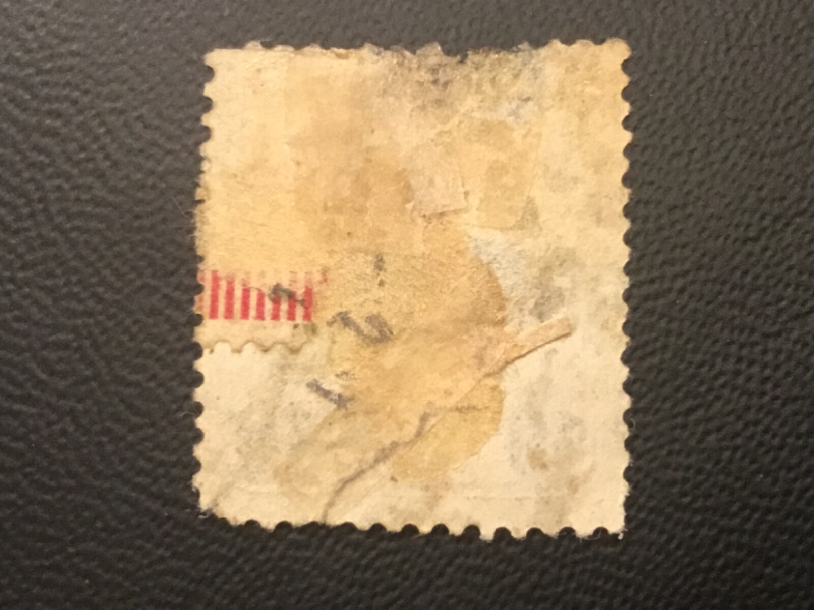 Picture 2