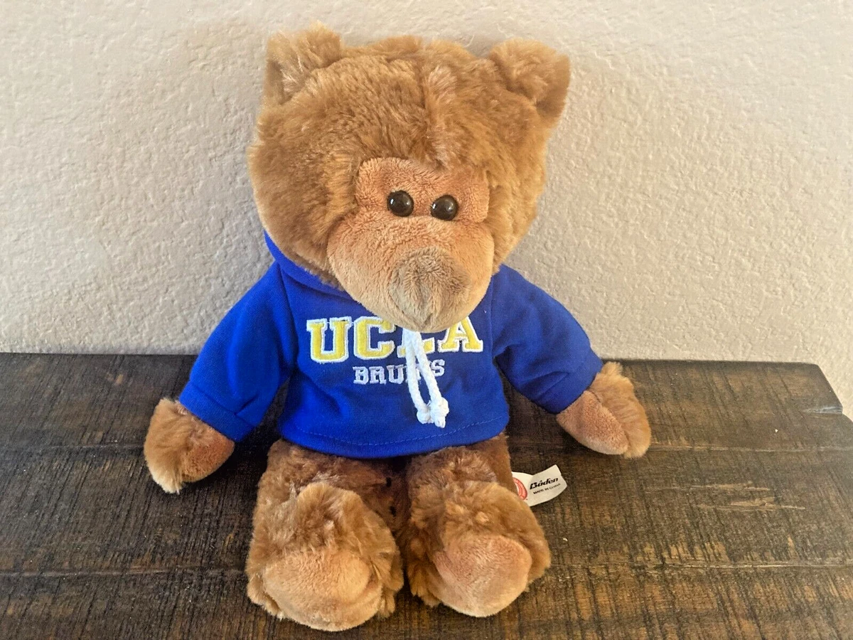 Ucla bear sweatshirt sale