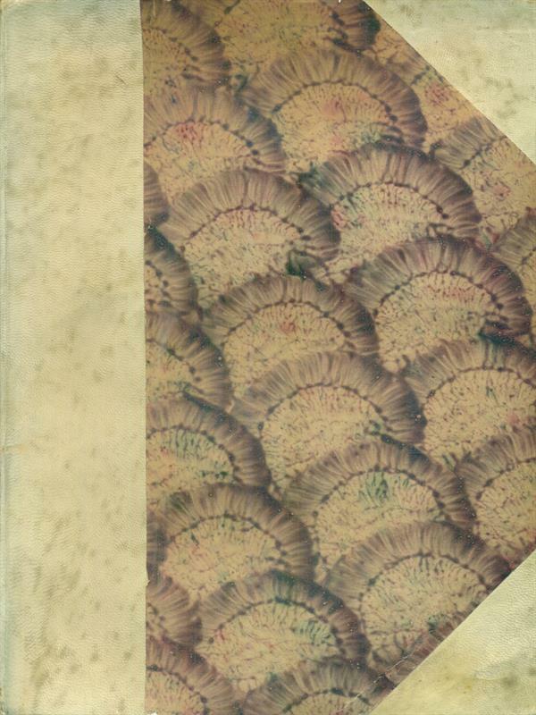 LA DANZA PRIMA EDIZIONE VUILLIER GASTONE TIPOGRAFIA DEL CORRIERE DELLA SERA