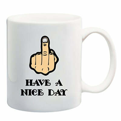 Have A Nice Day With Middle Finger Funny USA Mug by BeeGeeTees
