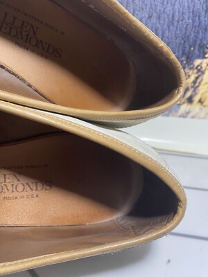 Allen Edmonds Ellington Men display picture 1