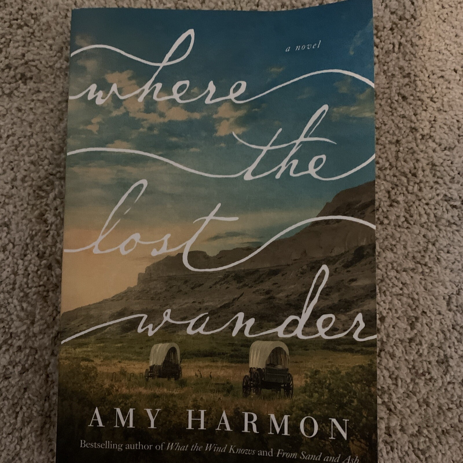 Where The Lost Wander (Paperback) Amy Harmon - Slight Crease On Front Cover