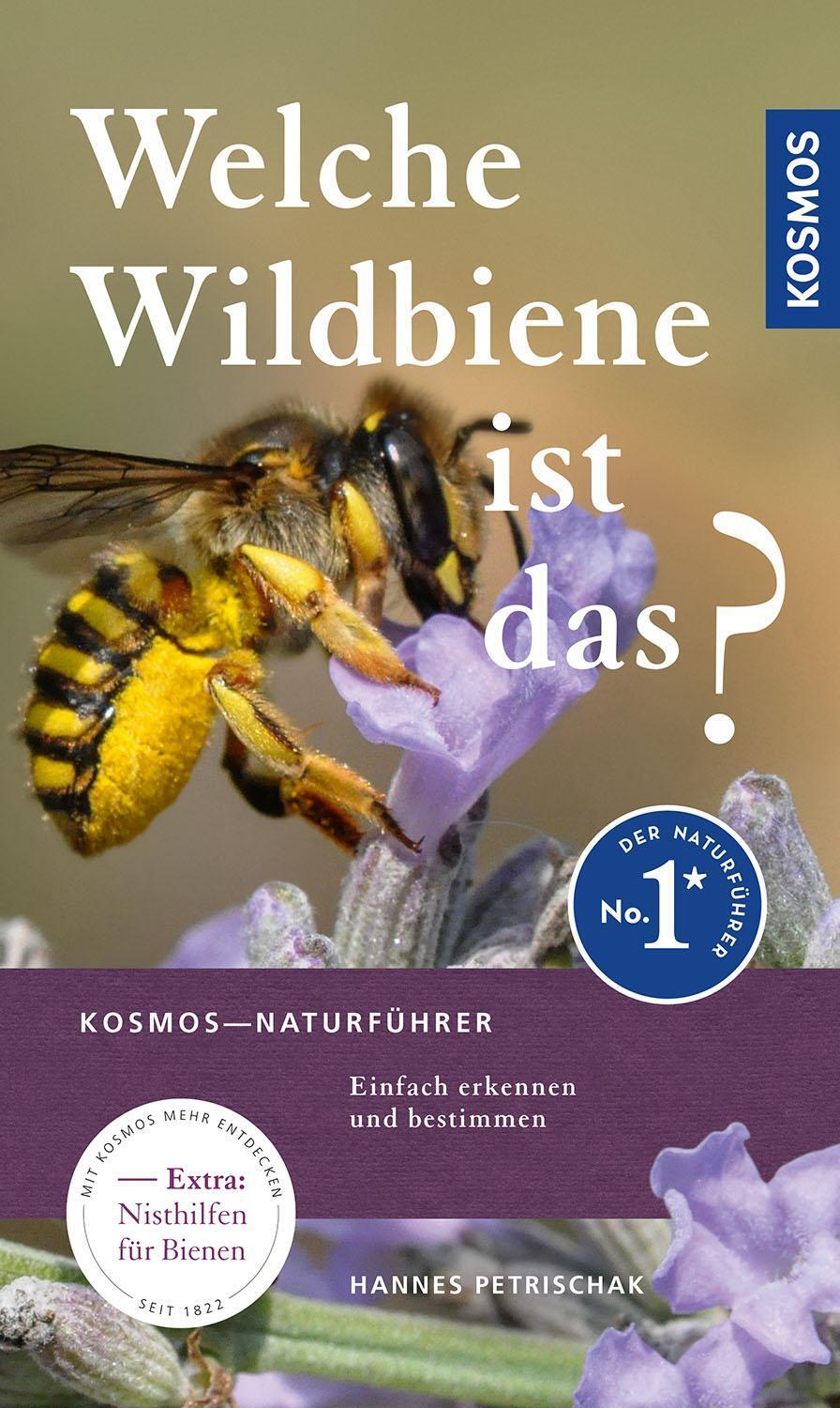 Thumbnail - Welche Wildbiene Ist Das? Hannes Petrischak