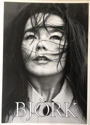 Björk Black & White Poster 24 x 33.5 | eBay