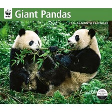 Carousel Calendars,  Giant Pandas WWF 2026 Wall Calendar, 14'' X 12'', 16-Month