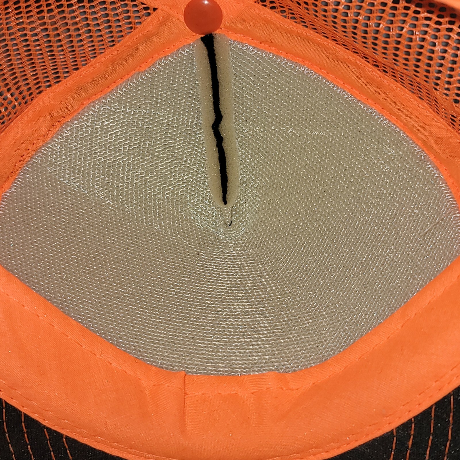 Picture 7 of 8