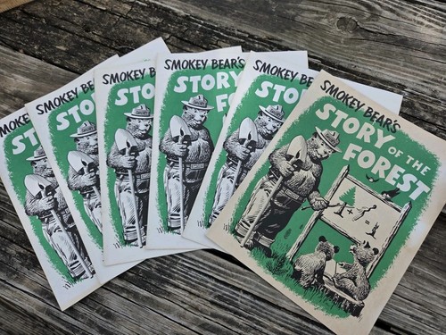 Set 6 Vintage Smokey Bear’s Story of the Forest Coloring Books 1979 US Dept Ag