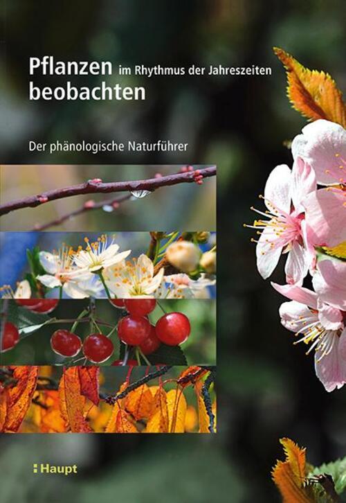 Thumbnail - Pflanzen Rhythmus Der Jahreszeiten Beobachten Der Phänologische