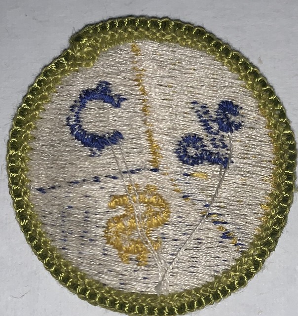 Boy Scout Merit Badge Personal finances G 1963 71 eBay