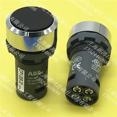 1PCS New push button switch CP1-30B-20 Metal frame self-reset