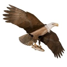 American Bald Eagle Kite