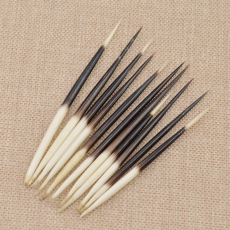 10pcs Porcupine Quills Hair Stick Weaving Beading Jewelry Craft DIY Fish Float - Image 3 of 4