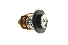 Yamaha THERMOSTAT 6E5-12411-30-00 OEM NEW
