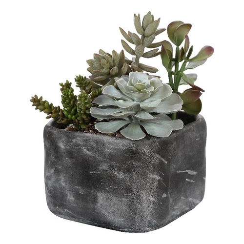 Uttermost Alverio Contemporary Plastic Iron Cement Succulents in Black/Green - Picture 2 of 5