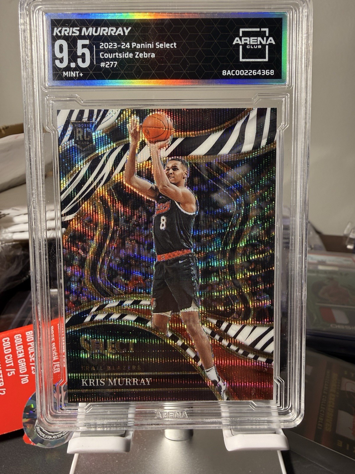 2023-24 Select Courtside Kris Murray RC Zebra SSP #277 🔥 Arena 9.5🔥