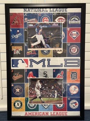 2017 Astros And Mets Spring Training Signed Photos Framed