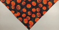 Buster Brown Dog Bandana, Halloween, Jack-o-lanterns, Cobwebs, Black, Large