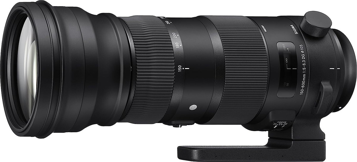 SIGMA 150-600mm F5-6.3 DG DN OS Sports Zoom Lens for Sony E-mount
