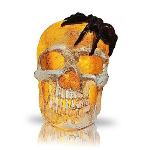 Halloween Skull Lights, Halloween Themed Skeleton Decor Skull with Spider