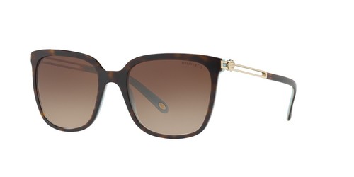 NWT Frye & Co Black Square Thick Frame Sunglasses DG0921 