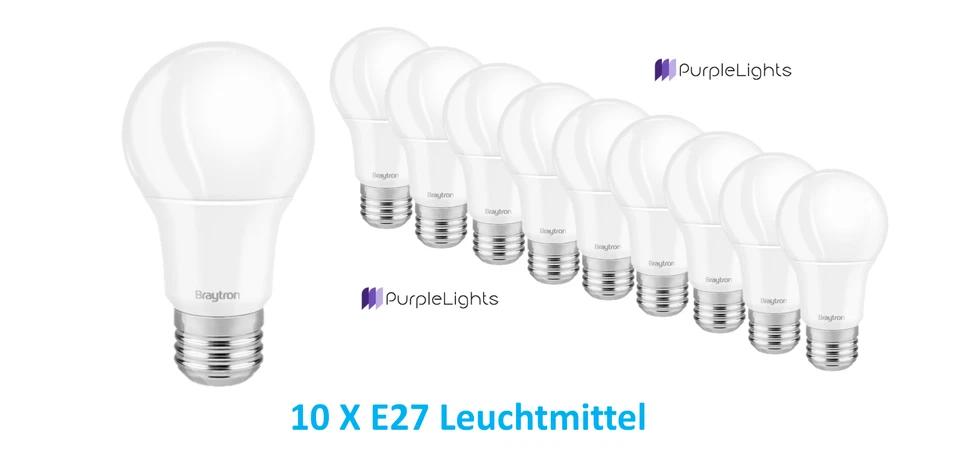 10 X LED Glühbirne Birnenform E27 13W 6500K 1350 Lumen kaltweiß Leuchtmittel A60