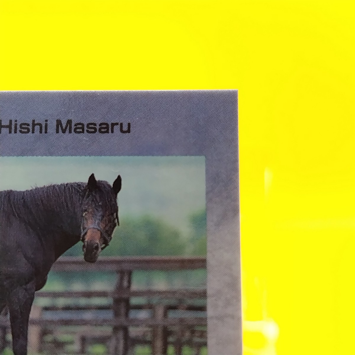 Hishi Masaru / Thoroughbred Horse Racing Card Vintage TCG BANDAI