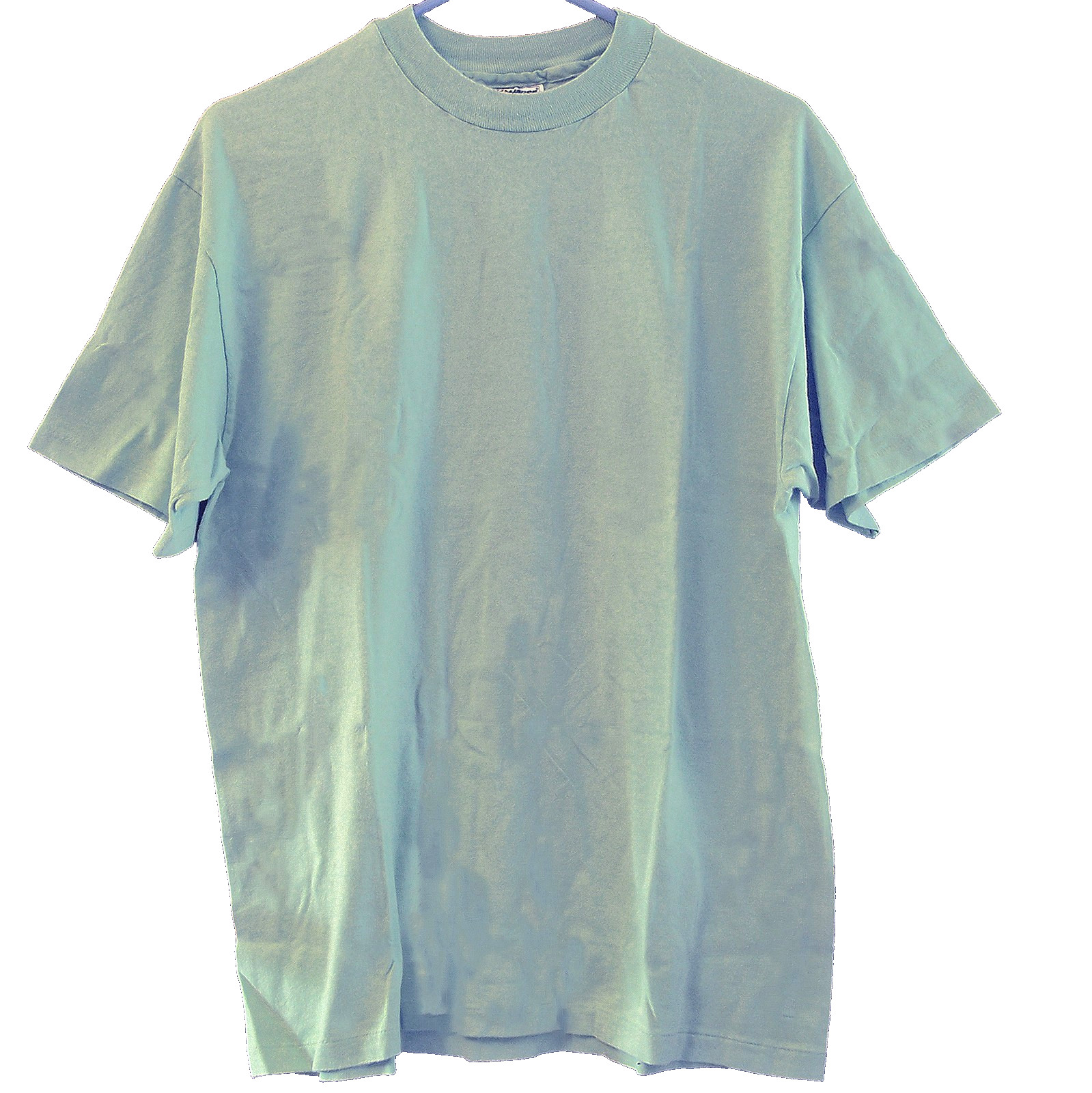 Men's Hane's Size Large CrewNeck T-Shirt Short Sleeve Stonewashed Green