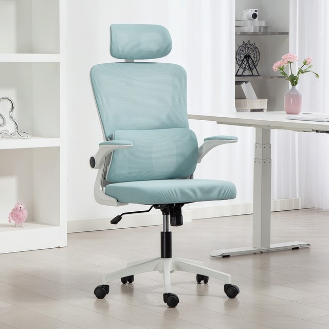 Mesh Office Chair with Adjustable Headrest, Lumbar Support