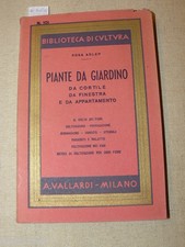  ADLER Rosa, Piante da giardino, da cortile, da finestra e da appartamento