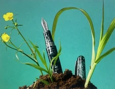 🔴 MONTEGRAPPA Fountain Pen Elmo Ambiente Charcoal Nib F New NOS