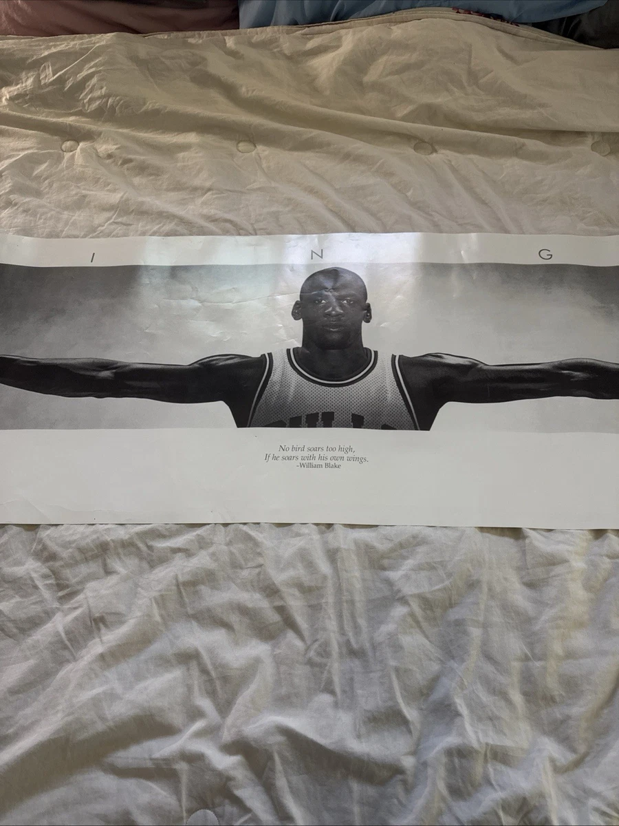 Preços baixos em Michael Jordan Wings Poster Indiana Pôsteres