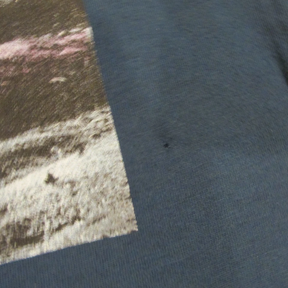 Camiseta Pullover Manga Corta Azul Marino Antigua Dinosaurio Jóvenes Niños Talla XL 14-16 Foto 2 de 4